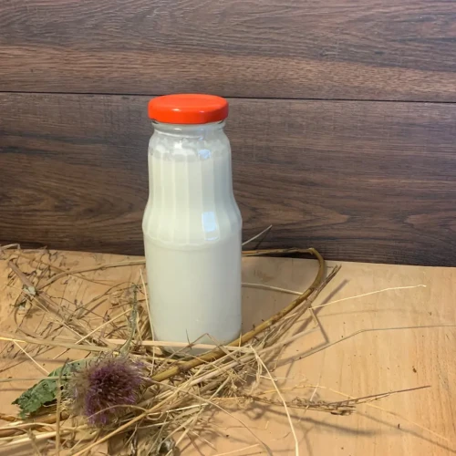 Kefir kozi na grzybku tybetańskim w szklanej butelce, na rustykalnym drewnianym tle. Naturalny kefir z mleka koziego przygotowany tradycyjną metodą w Gospodarstwie Yagi.