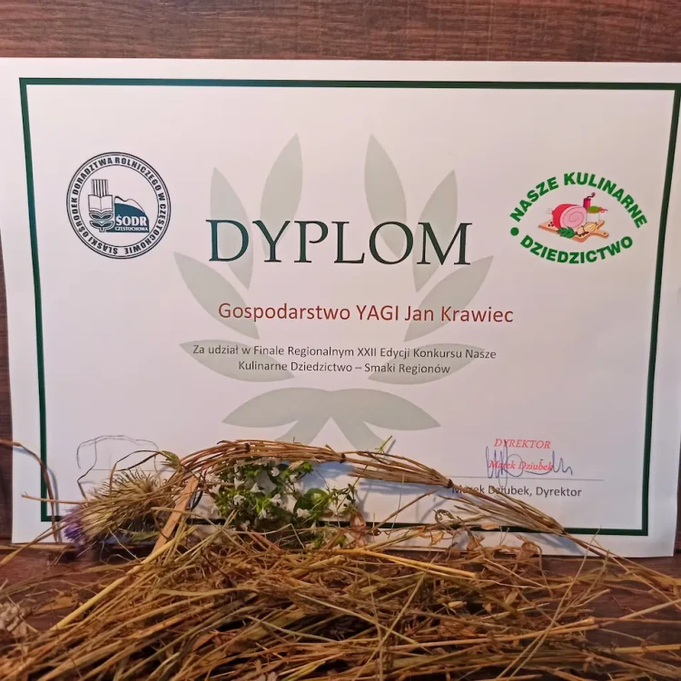 dyplom-konkurs-ser-kozi-fromage-wedzony-czosnek-niedzwiedzi-yagi
